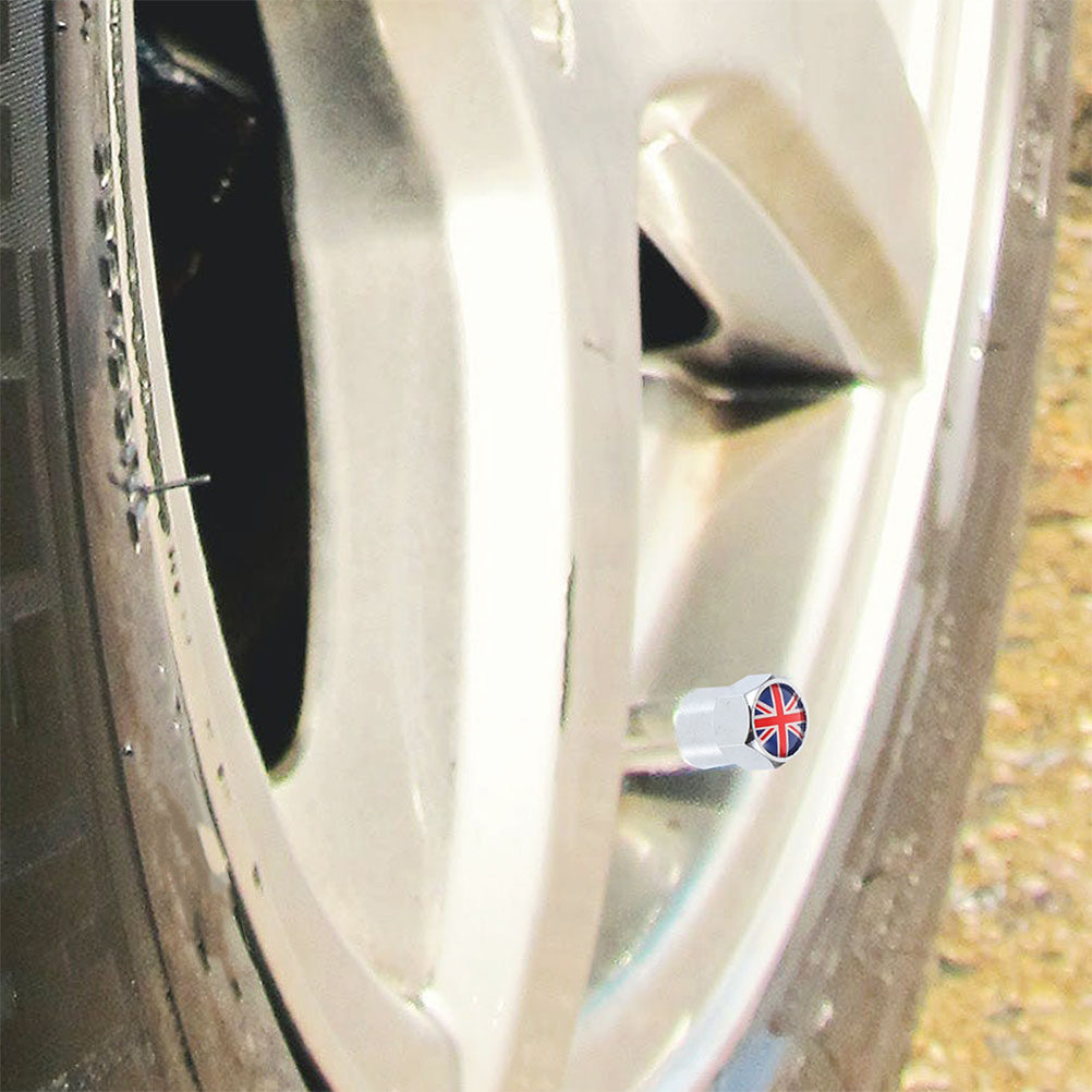 8Pcs Tire Valve Stem Caps Stai - Women'S Accessories Uk ulasan dan harga